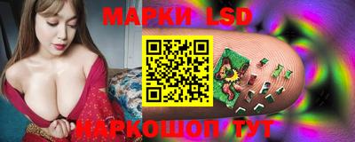 индика Тверь