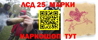 индика Тверь