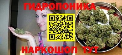 индика Тверь