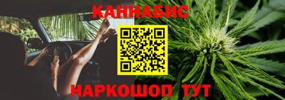 индика Тверь
