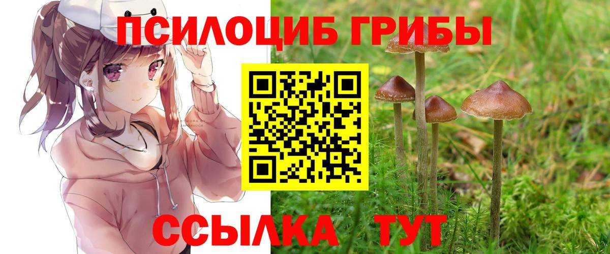 Рославль  Псилоцибиновые грибы Psilocybine cubensis  Вход с VPN 